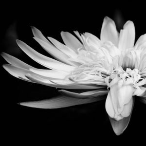 Meet your Posher, Kari